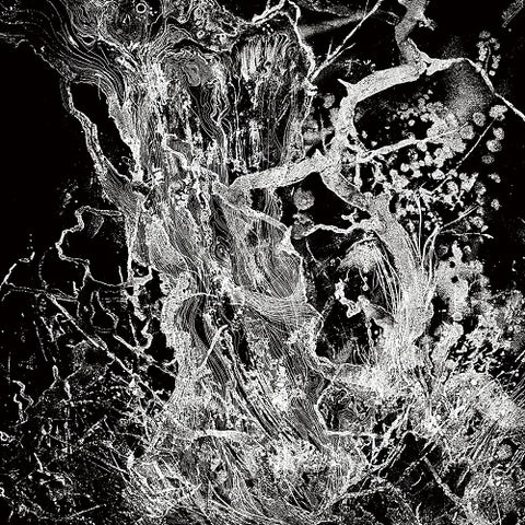 Bruit Monolith New CD Presale