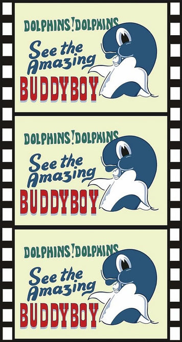Buddyboy (Martin Shaw Pamela Moiseiwitsch) New DVD