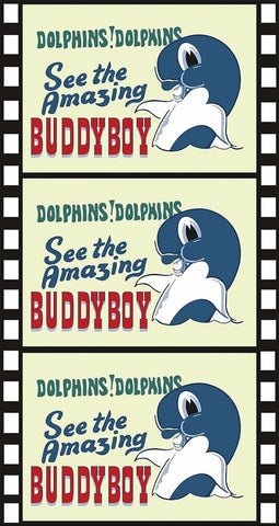Buddyboy (Martin Shaw Pamela Moiseiwitsch) New DVD
