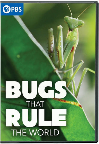 Bugs That Rule the World (Nkeki Obi-Melekwe) New DVD Presale