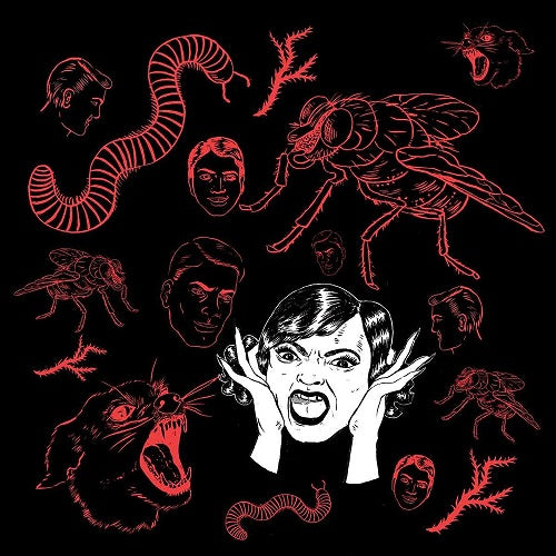 Bush Tetras They Live in My Head New CD