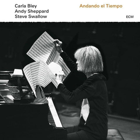 CARLA BLEY STEVE SWALLOW ANDY SHEPPARD Andando El Tiempo UHQCD New CD
