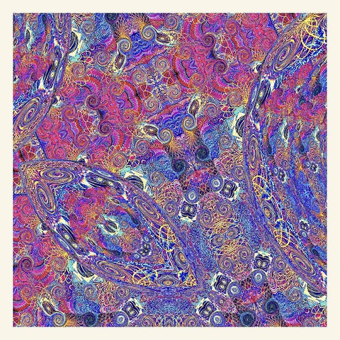 Carlos Nino & Friends Placenta And New CD