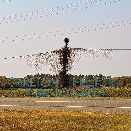 Carlton Melton Turn To Earth New CD
