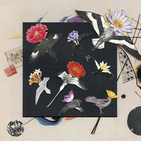 Caroline Davis Alula Captivity New CD