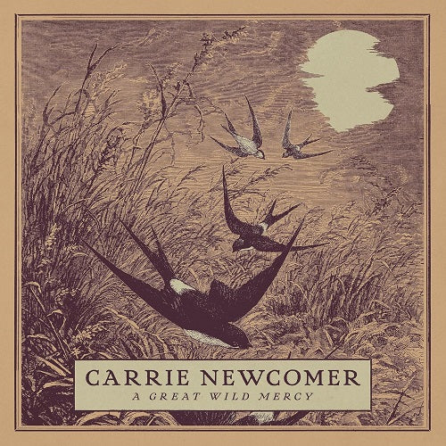 Carrie Newcomer A Great Wild Mercy New CD