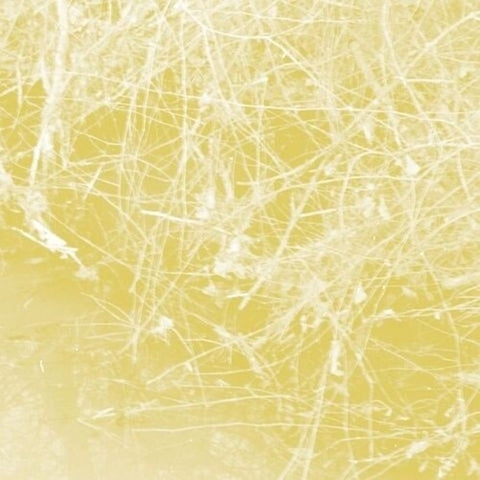 Celer Cursory Asperses New CD