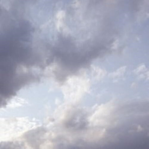 Celer It Would Be Giving Up 4 Disc New CD