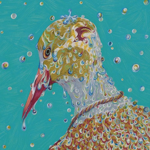 Chartreuse Morning Ritual New CD