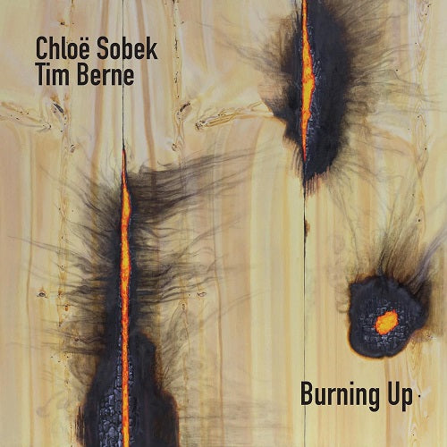 Chloe Sobek Burning Up New CD