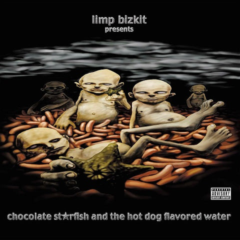 Chocolate Starfish & The Hot Dog Flavored Water And New Vinyl LP Album