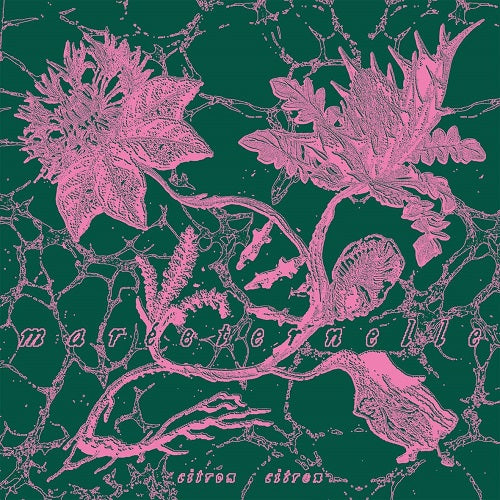 Citron Citron Mareeternelle New CD