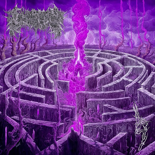 Civerous Maze Envy New CD