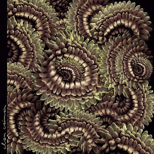 CLAN CAIMAN Pica Pau New CD