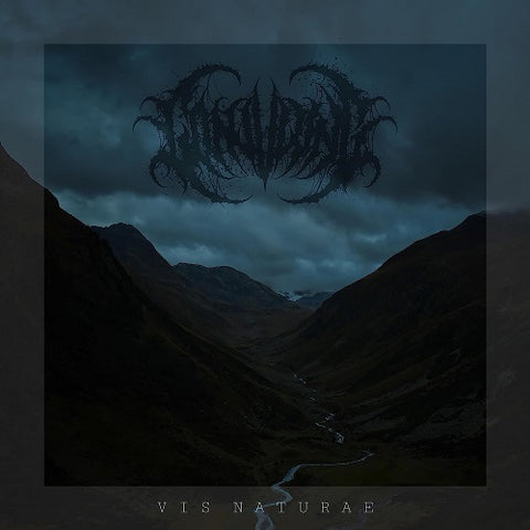 Conjuring Vis Naturae New CD