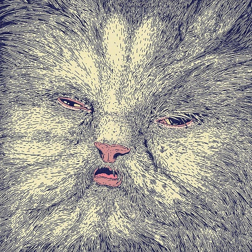 Corridor Mimi New CD