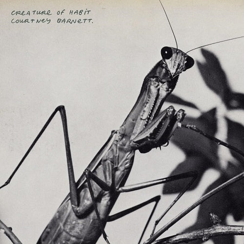 COURTNEY BARNETT Creature Of Habit New CD Presale