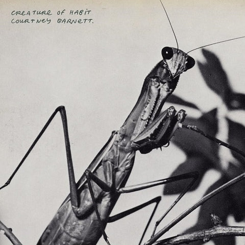 COURTNEY BARNETT Creature Of Habit New CD Presale