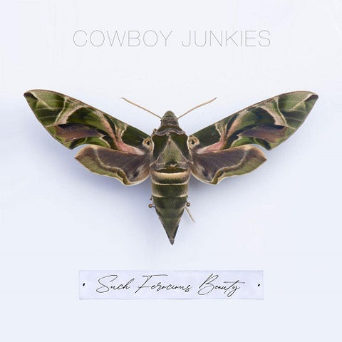 Cowboy Junkies Such Ferocious Beauty New CD