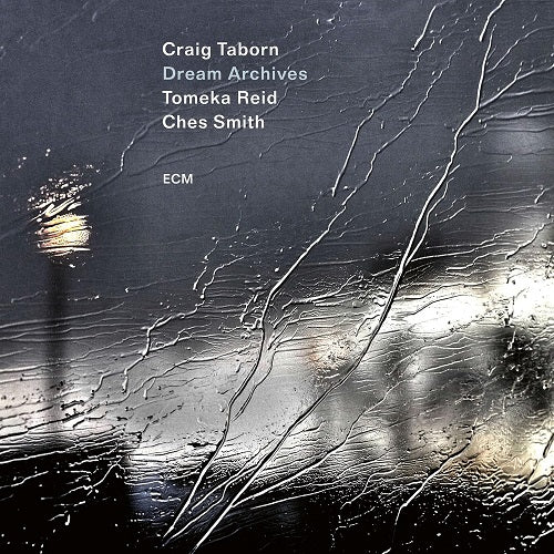 Craig Taborn Dream Archives New CD Presale