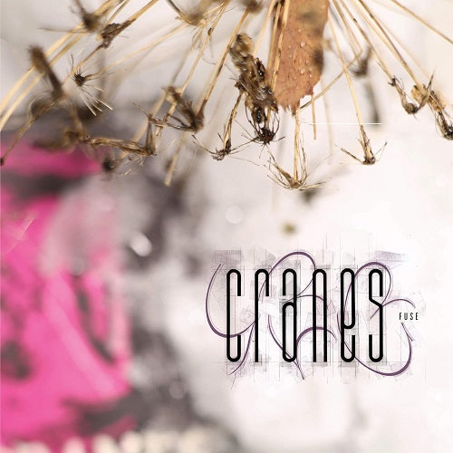 Cranes Fuse New CD