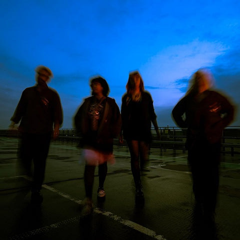 Crawlers The Mess We Seem to Make New CD