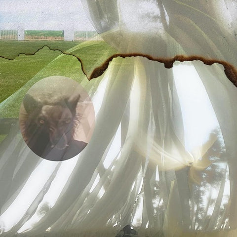 Credit Electric Six 6 New CD