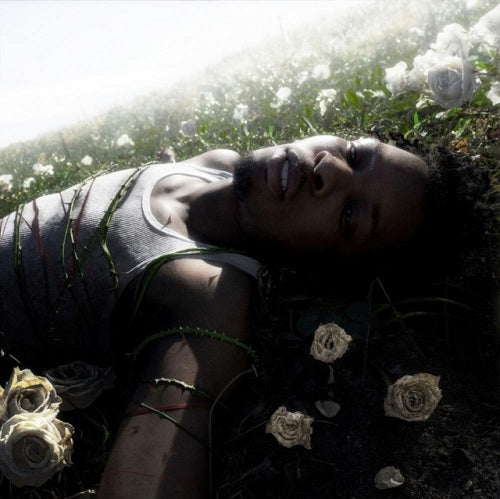 d4vd WITHERED New CD Presale