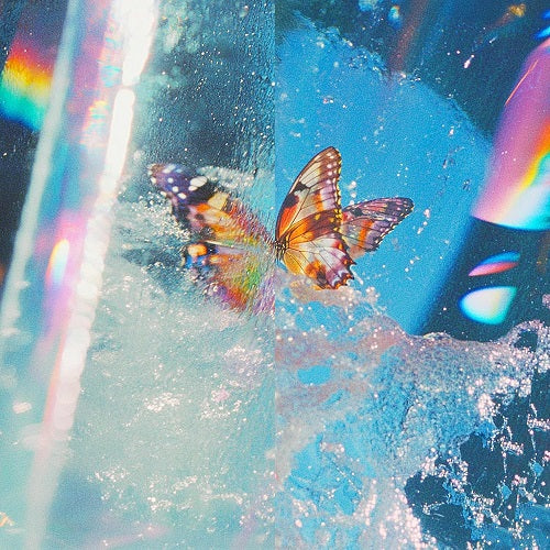 Daphni Butterfly New CD Presale