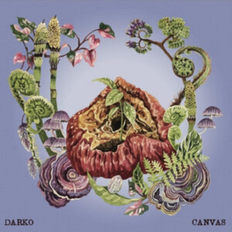 DARKO Canvas New CD Presale