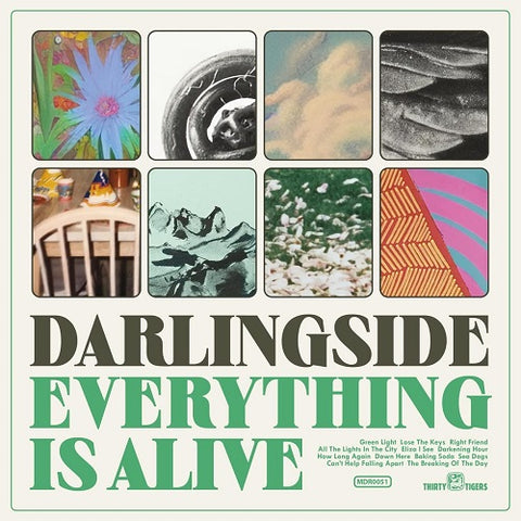 Darlingside Everything Is Alive New CD