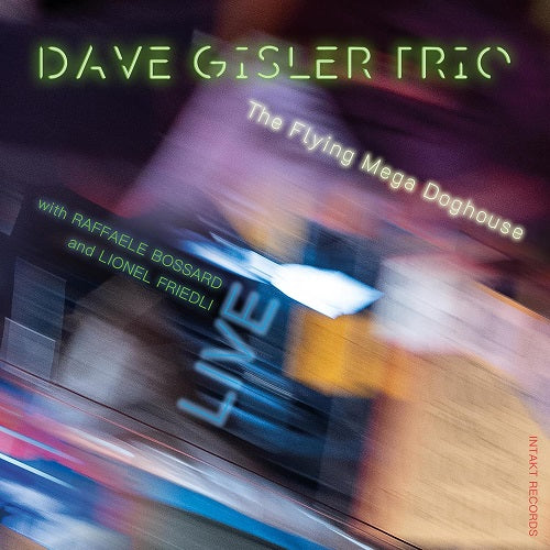 Dave Gisler Trio The Flying Mega Doghouse Live New CD Presale