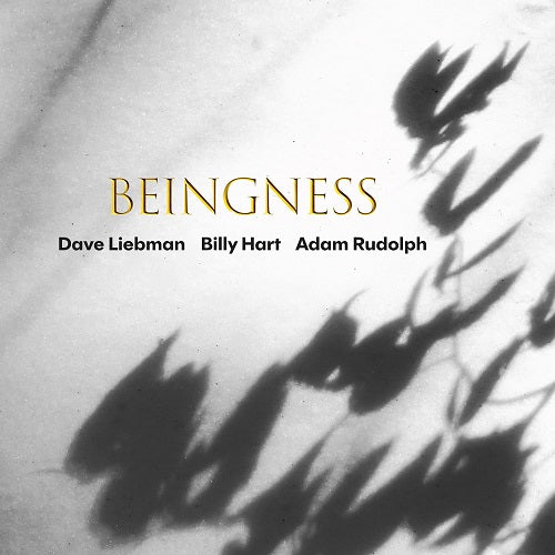Dave Liebman Beingness New CD Presale