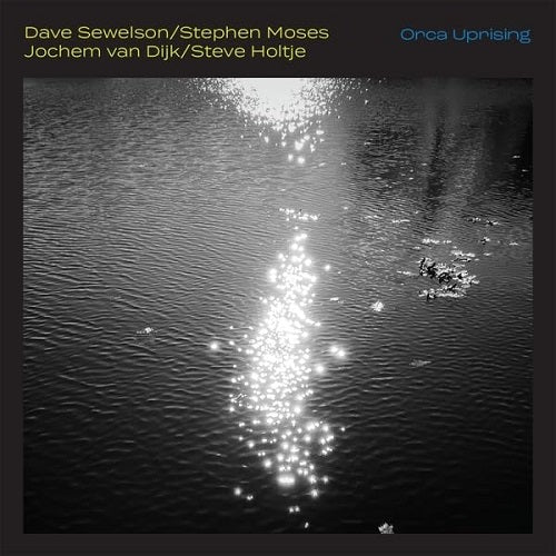 DAVE SEWELSON STEPHEN MOSES JOCHEM VAN DIJK Orca Uprising New CD