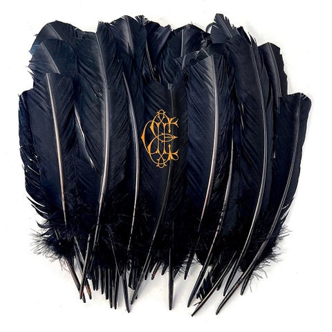 David Eugene Edwards Hyacinth New CD