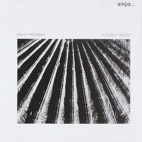 David Friedman Futures Past New CD Presale