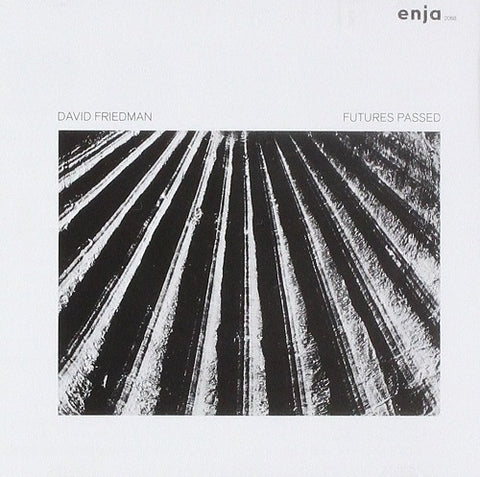 David Friedman Futures Past New CD Presale