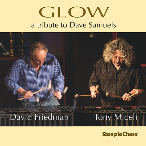 David Friedman Tony Miceli Glow A Tribute to Dave Samuels New CD Presale