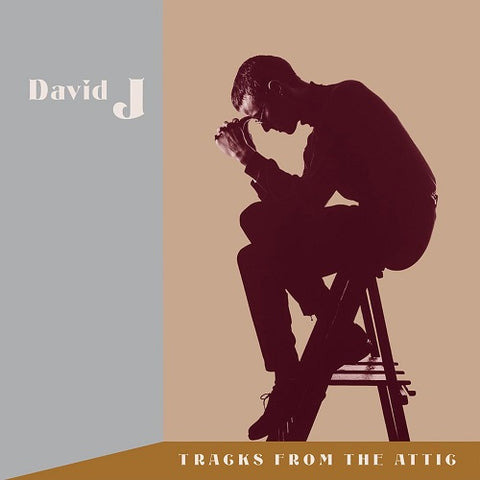David J Tracks from the Attic 3 Disc New CD Box Set