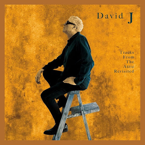 David J Tracks From The Attic Revisited New CD Presale