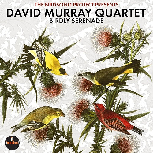 David Murray Birdly Serenade New CD Presale