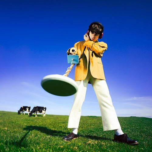 Declan McKenna What Happened to the Beach New CD