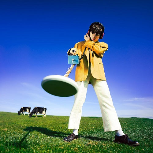 Declan McKenna What Happened To The Beach New CD