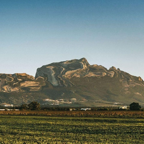 Deena Abdelwahed Jbal Rrsas New CD