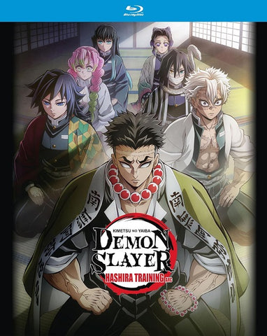 Demon Slayer Kimetsu no Yaiba Hashira Training Arc New Blu-ray Presale