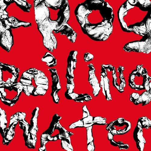 DIIV Frog In Boiling Water New CD