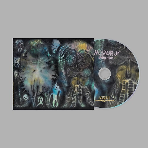 Dinosaur Jr There Near New CD Presale