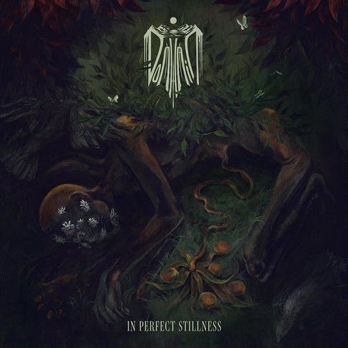 Domhain In Perfect Stillness New CD Presale