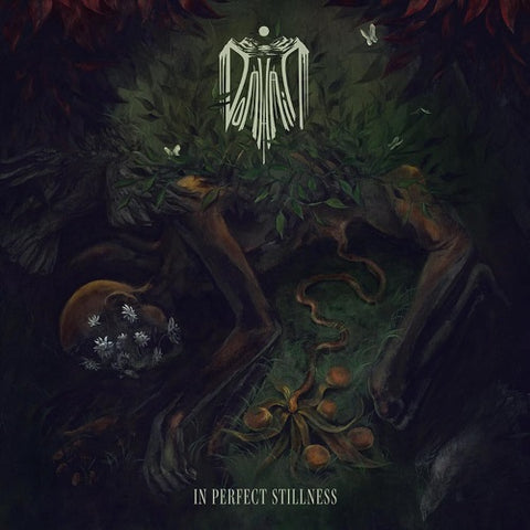 Domhain In Perfect Stillness New CD Presale