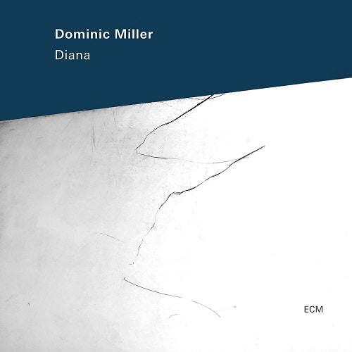 Dominic Miller Diana New CD Presale